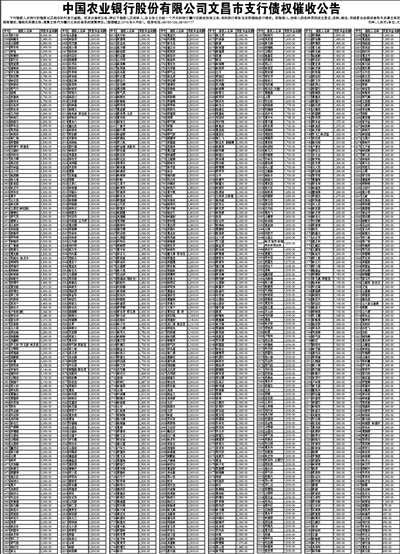 中国农业银行股份有限公司文昌市支行债权催收公告